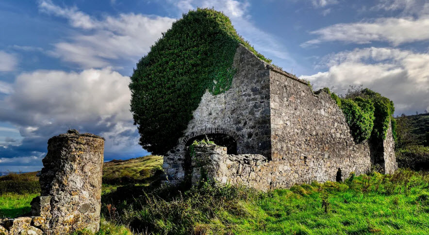 Carthys Castle Ruins Dublin, Ireland